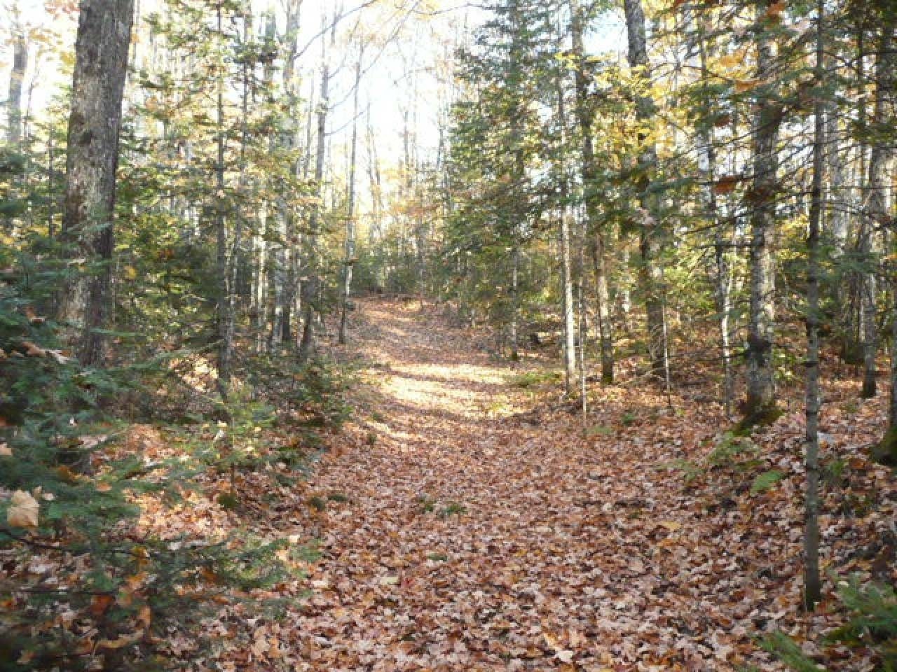 Near Twin Lake Road Conover, WI 54519 - Photo 13 of 16 Gallery Image 13