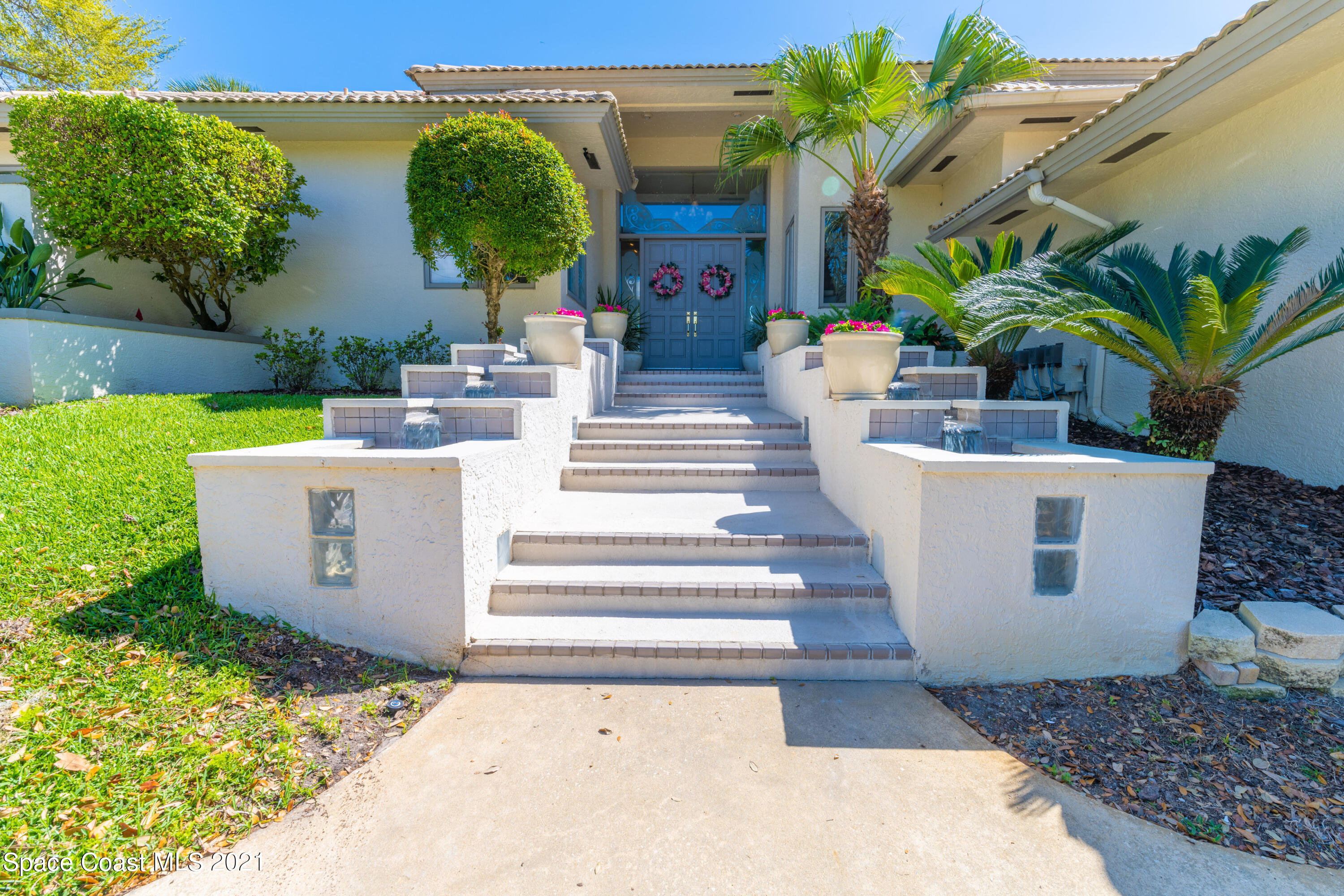 a view of a swimming pool with potted plants