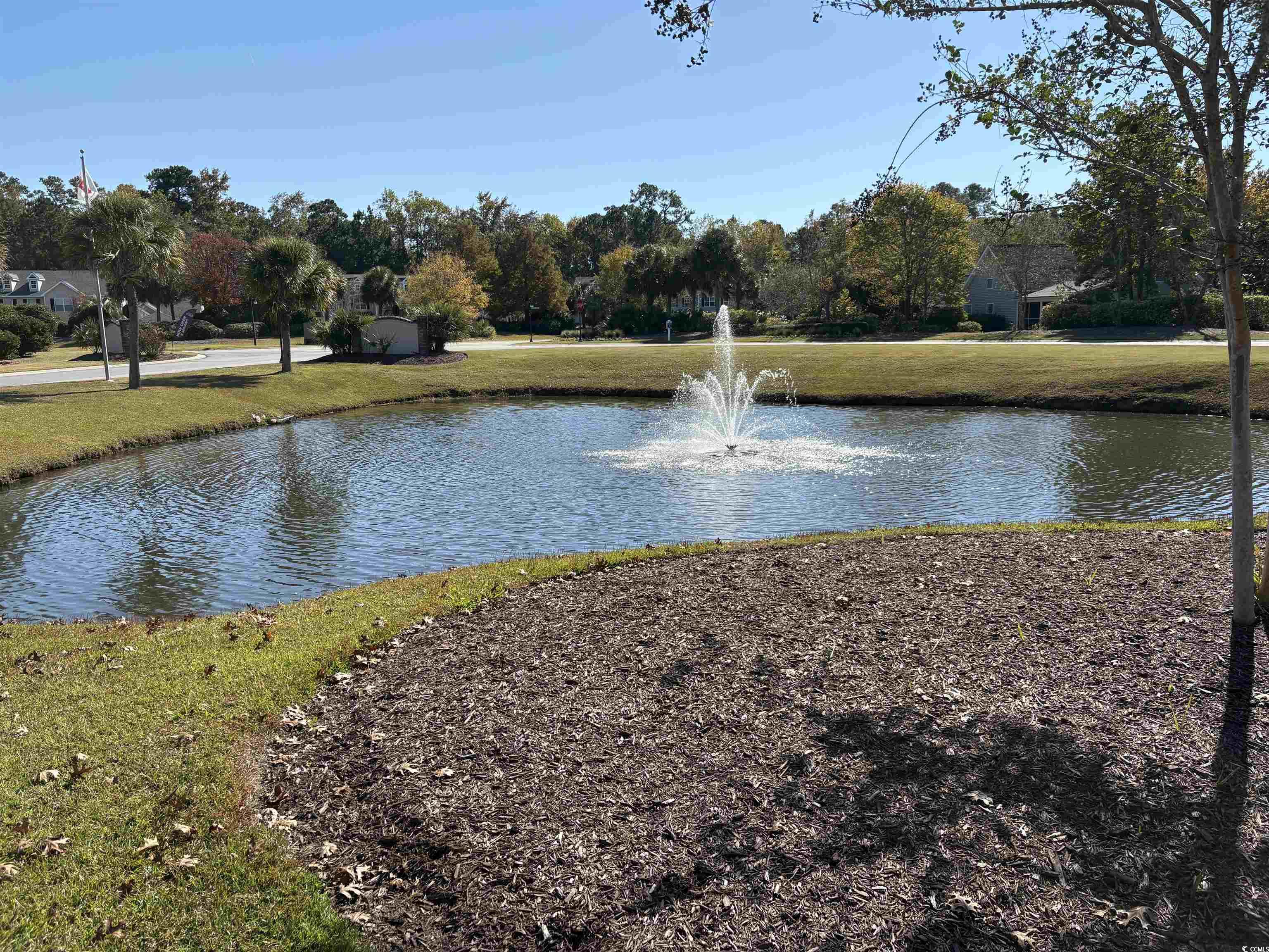 176 Madrid Drive, Unit 176 Murrells Inlet, SC 29576 - Photo 28 of 28
