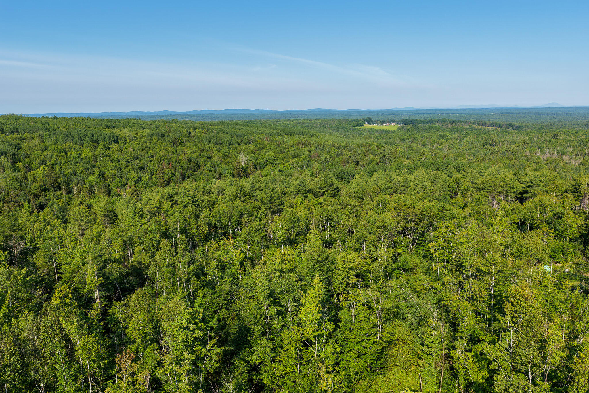498 Freedom Road Springfield, ME 04487 - Photo 4 of 20 DJI_20260706080341_0098_D