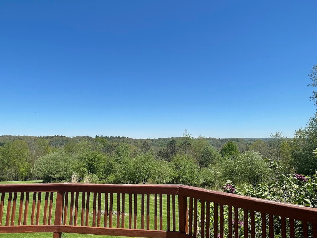 672 Brotzman Road Binghamton, NY 13901 - Photo 19 of 29