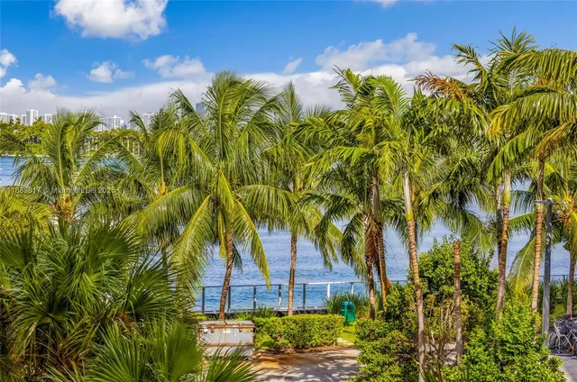 a view of a palm trees