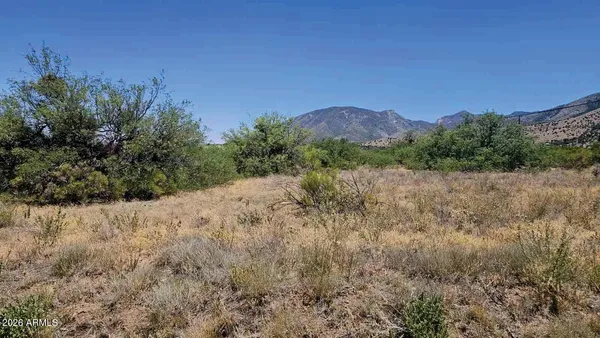 a view of a dry yard with trees in the background