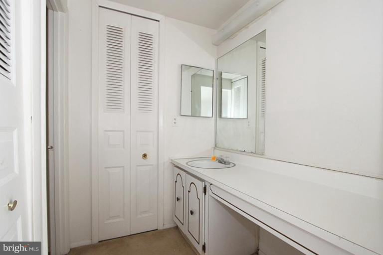 196 North Cottage Road Sterling, VA 20164 - Photo 4 of 20 Master Bath