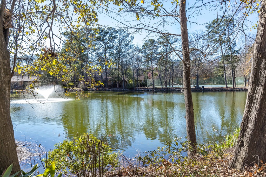 2525 Norris Road, Unit 98 Columbus, GA 31907 - Photo 28 of 40 a lake view with boat and trees