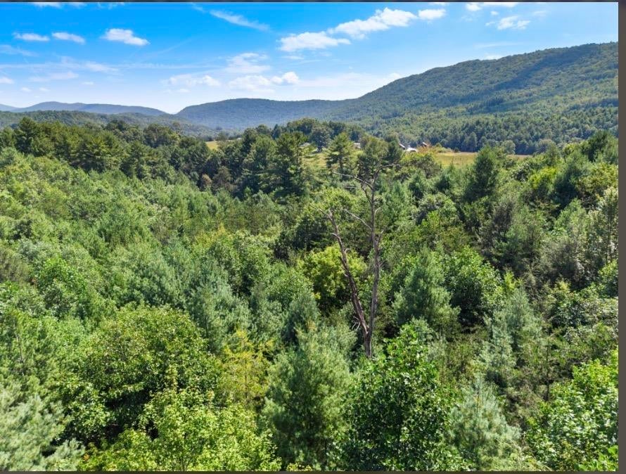 1485 Price Ridge Road Bland, VA 24315 - Photo 82 of 87 Gallery Image 82