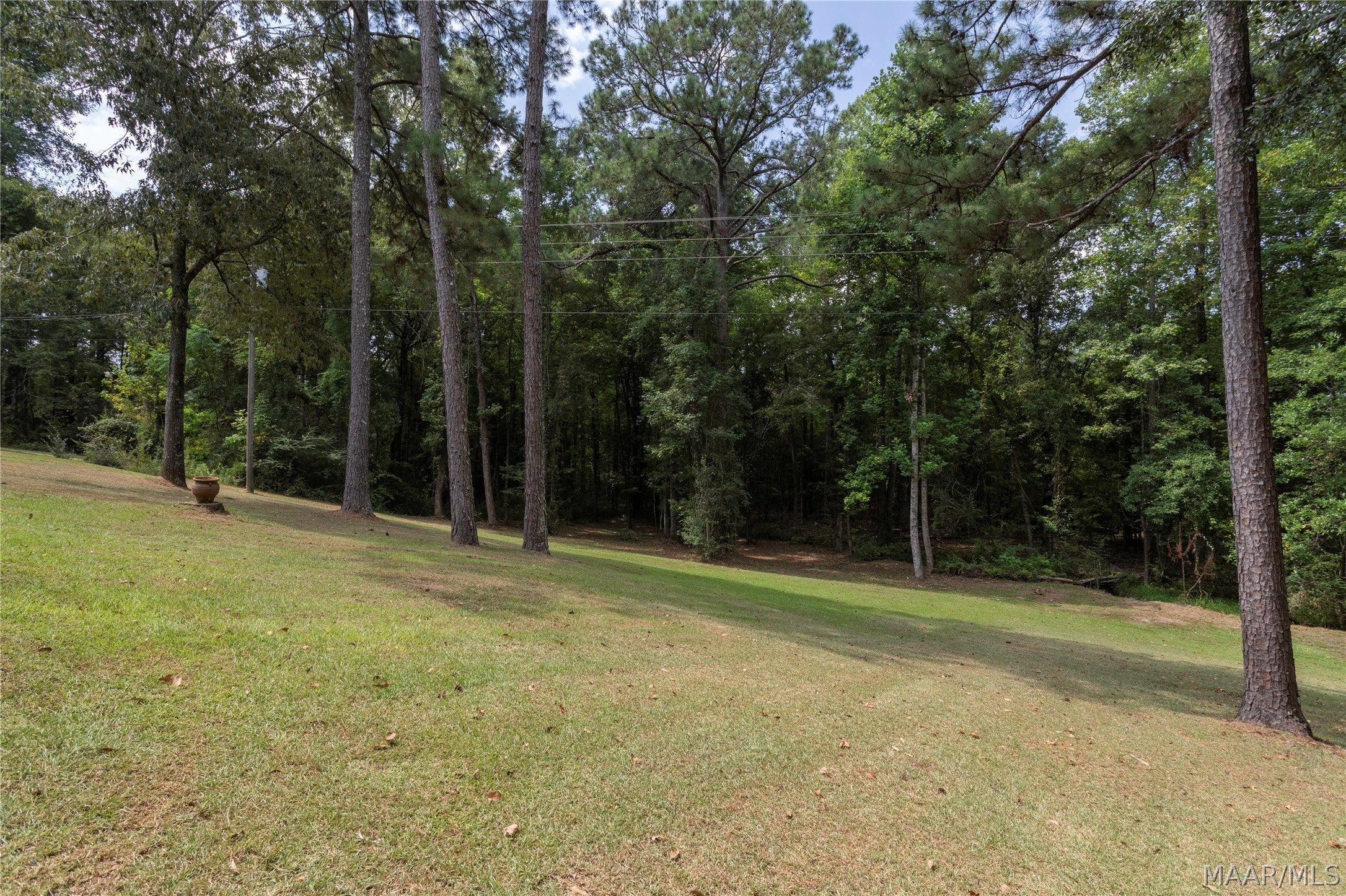 5157 Titus Road Titus, AL 36080 - Photo 30 of 34 Gallery Image 30