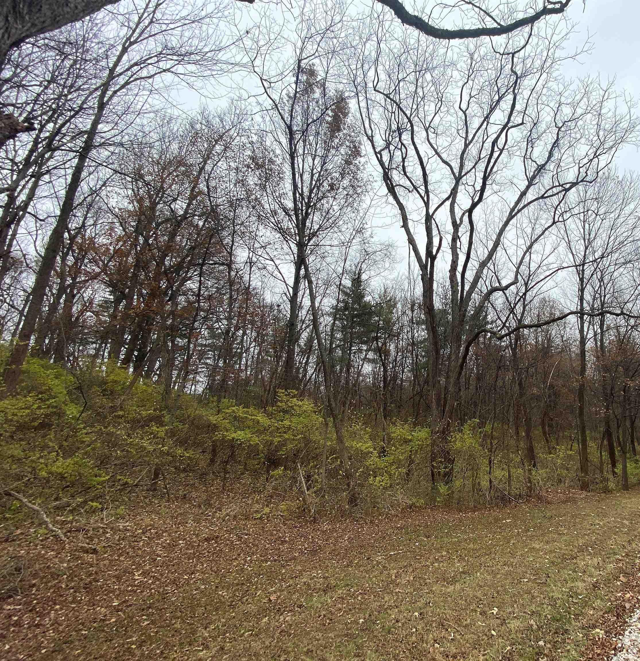 9205 Whetstone Road Evansville, IN 47725 - Photo 3 of 4