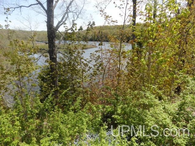 Tbd Autrain Forest Lake Road Au Train, MI 49806 - Photo 6 of 12