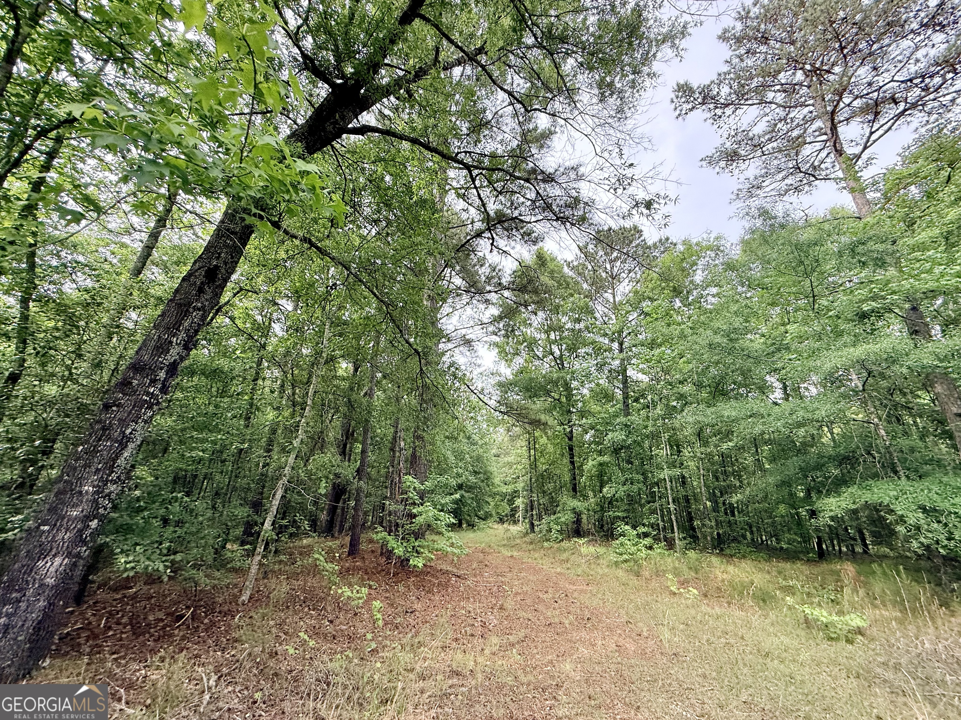 715 Fulsome Creek Road Sparta, GA 31087 - Photo 100 of 117