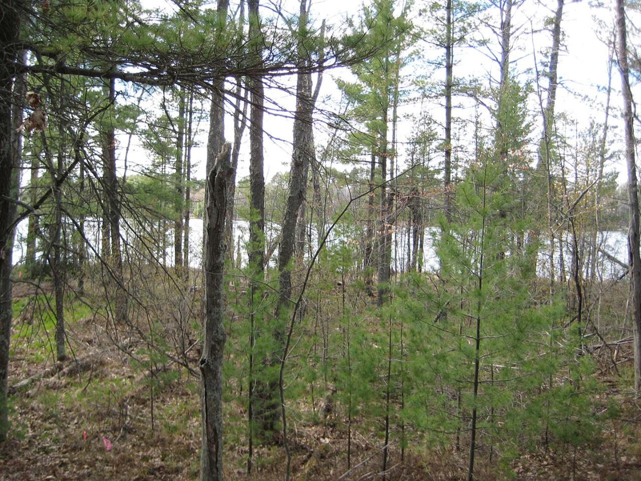 Lot 60 St Marys Road Eagle River, WI 54521 - Photo 2 of 6 Gallery Image 2