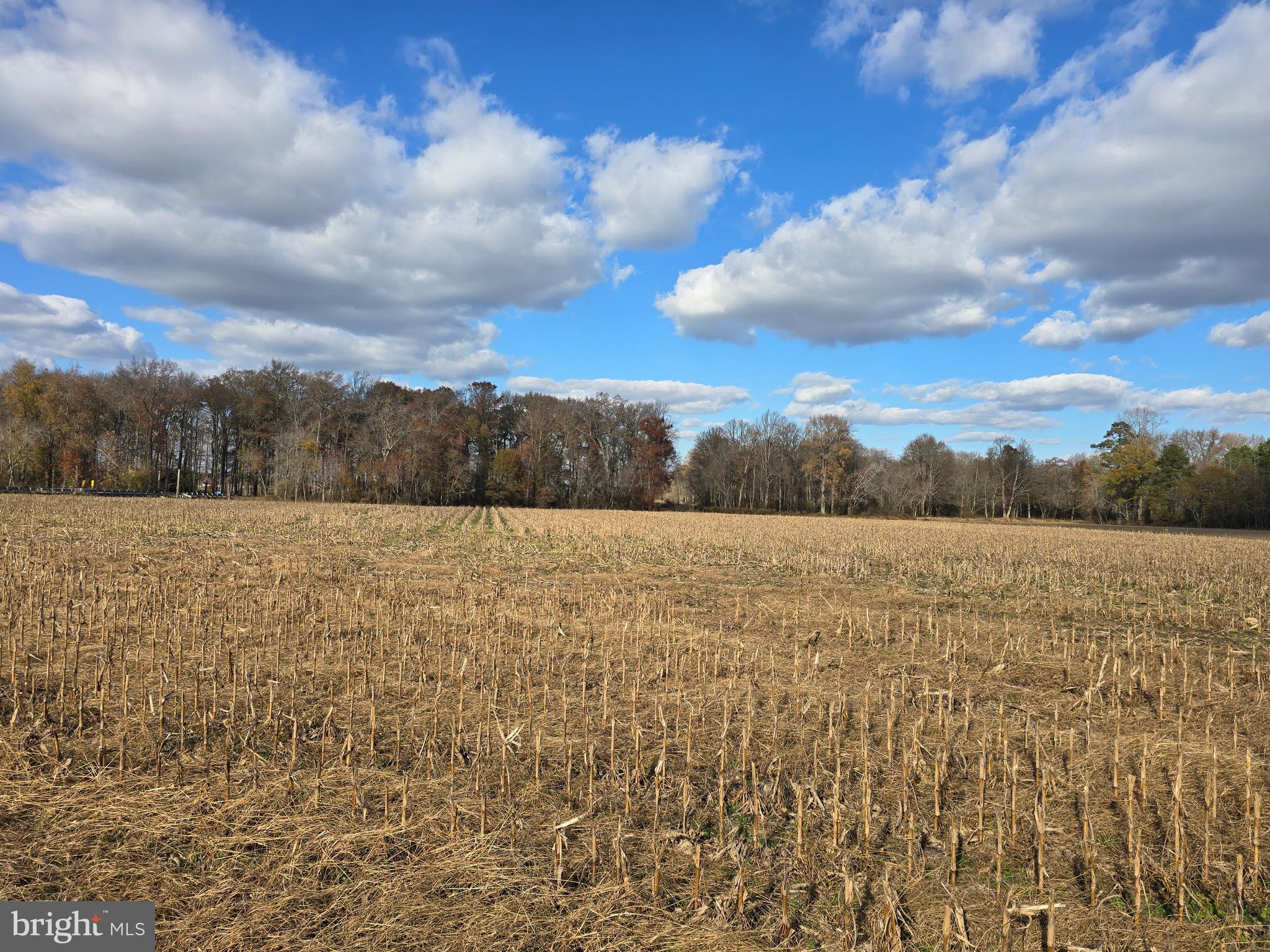 1 Poplar Neck, Unit ROAD Willards, MD 21874 - Photo 6 of 14 Front View