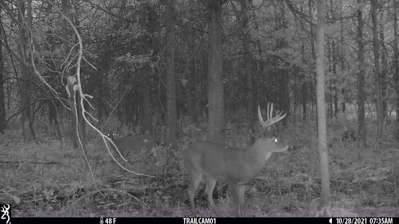 0 Burt Road Brant, MI 48614 - Photo 6 of 13