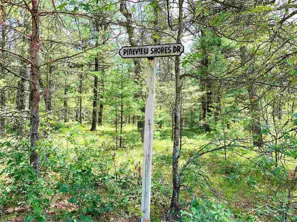 Vl Pineview Shores Road Prescott, MI 48756 - Photo 10 of 12 Gallery Image 10