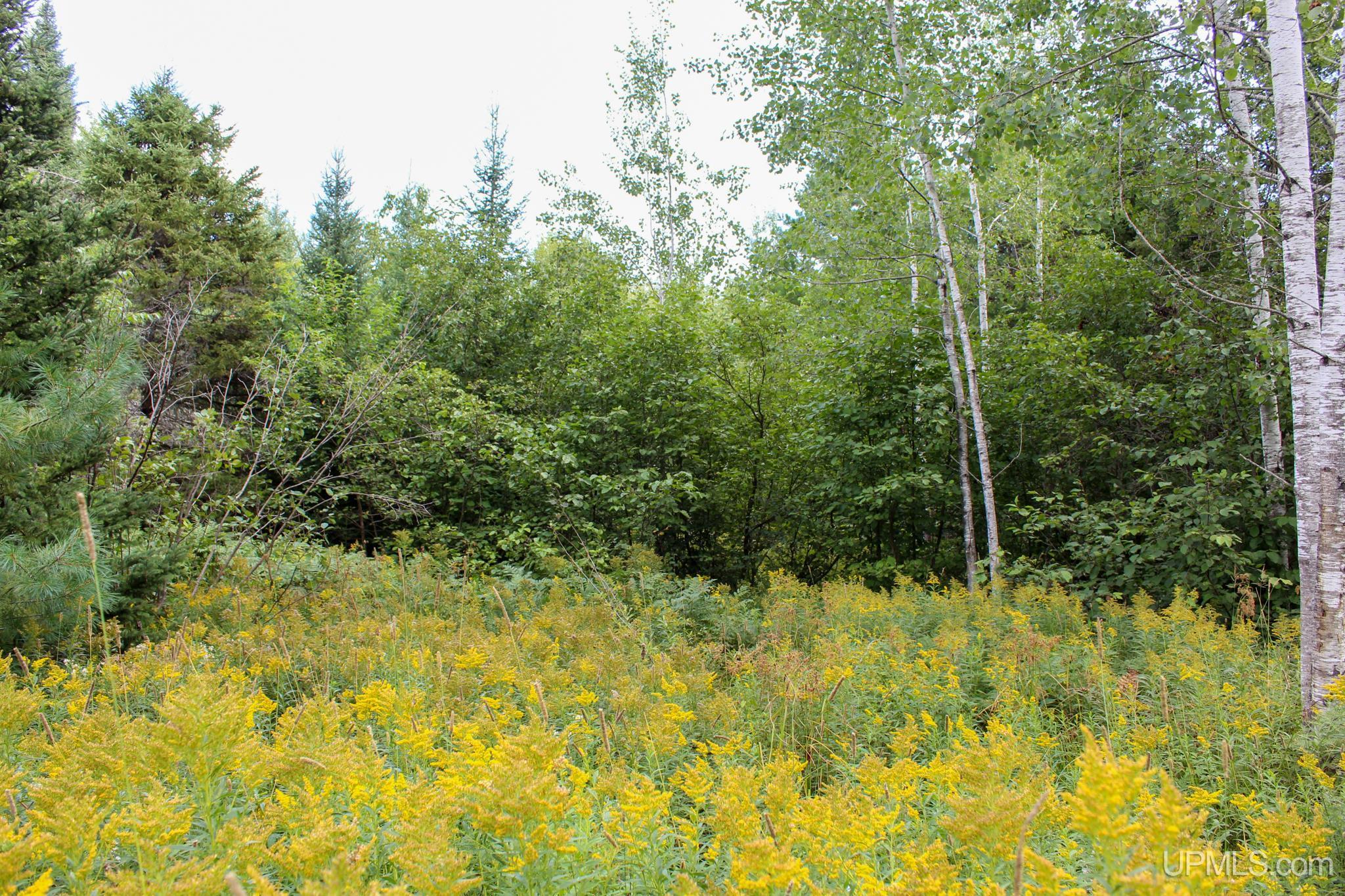 Tbd Michaelson Road Pelkie, MI 49958 - Photo 36 of 73 Gallery Image 36