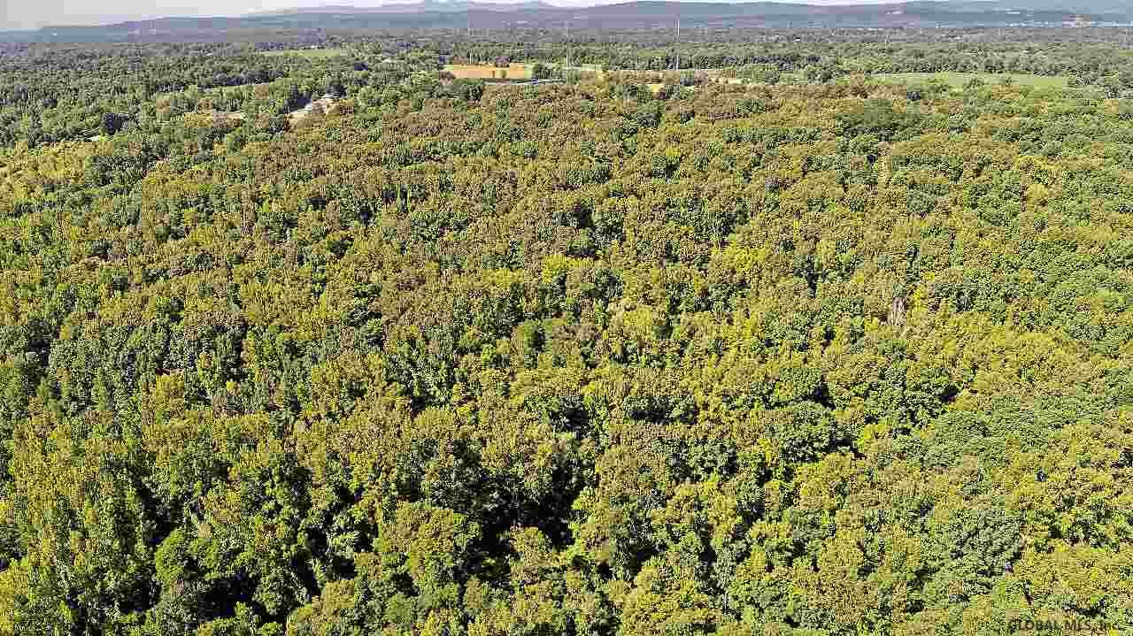 0 Wemple Road Bethlehem, NY 12077 - Photo 10 of 17 Photo 10