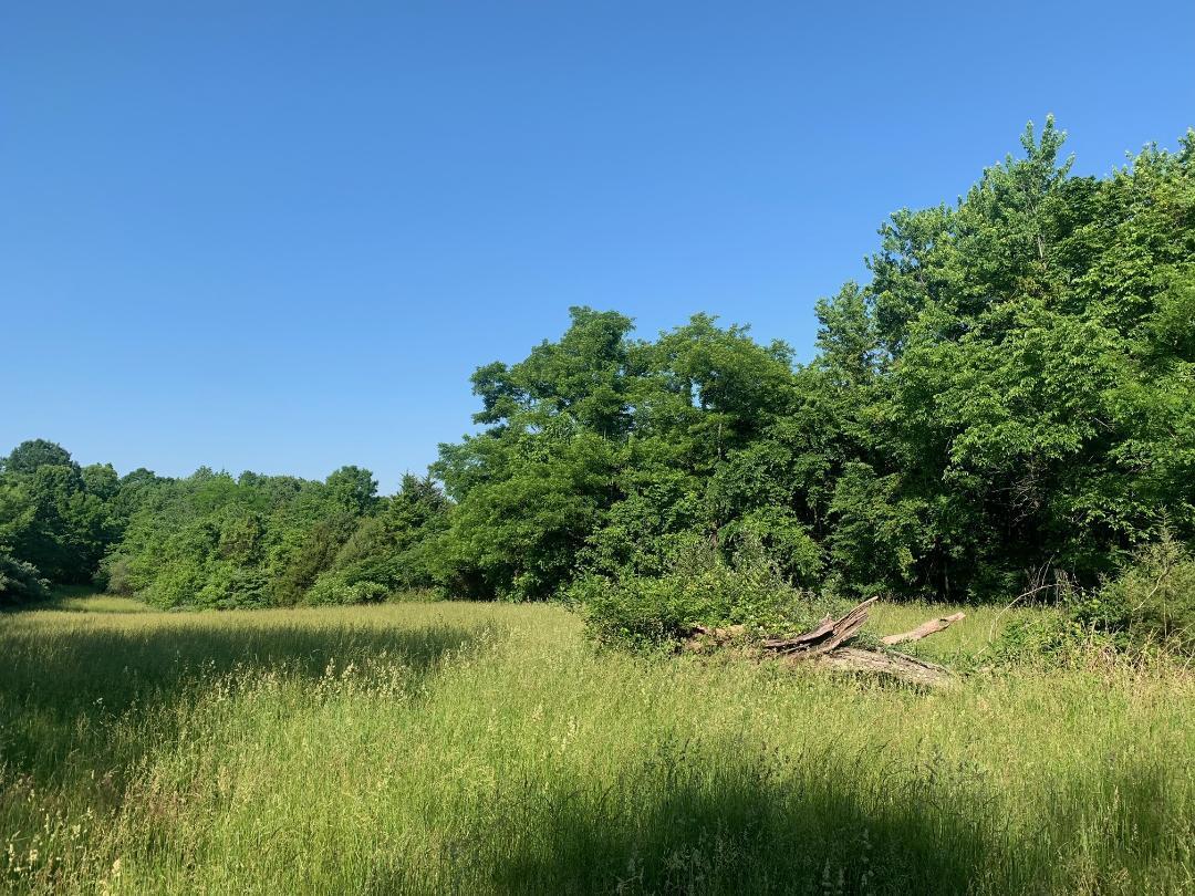 0 Agee Road Owenton, KY 40359 - Photo 2 of 4