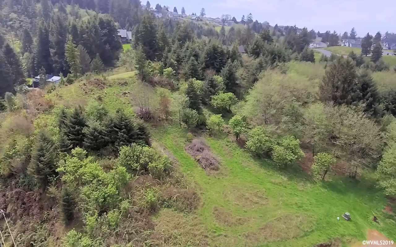 Reddekopp (tl 805) Road Pacific City, OR 97135 - Photo 21 of 22