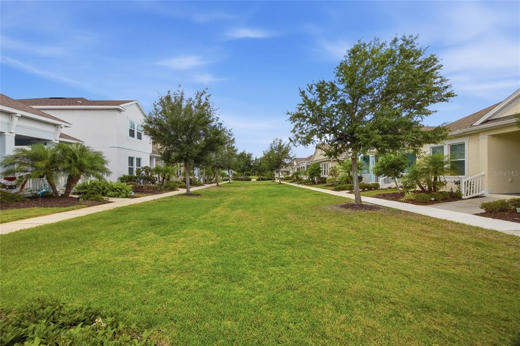 725 Winterside Drive Apollo Beach, FL 33572 - Photo 39 of 59