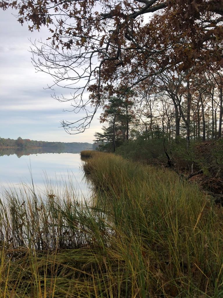 Lot 7 Lucas Trail, Unit 7 Machipongo, VA 23405 - Photo 2 of 11