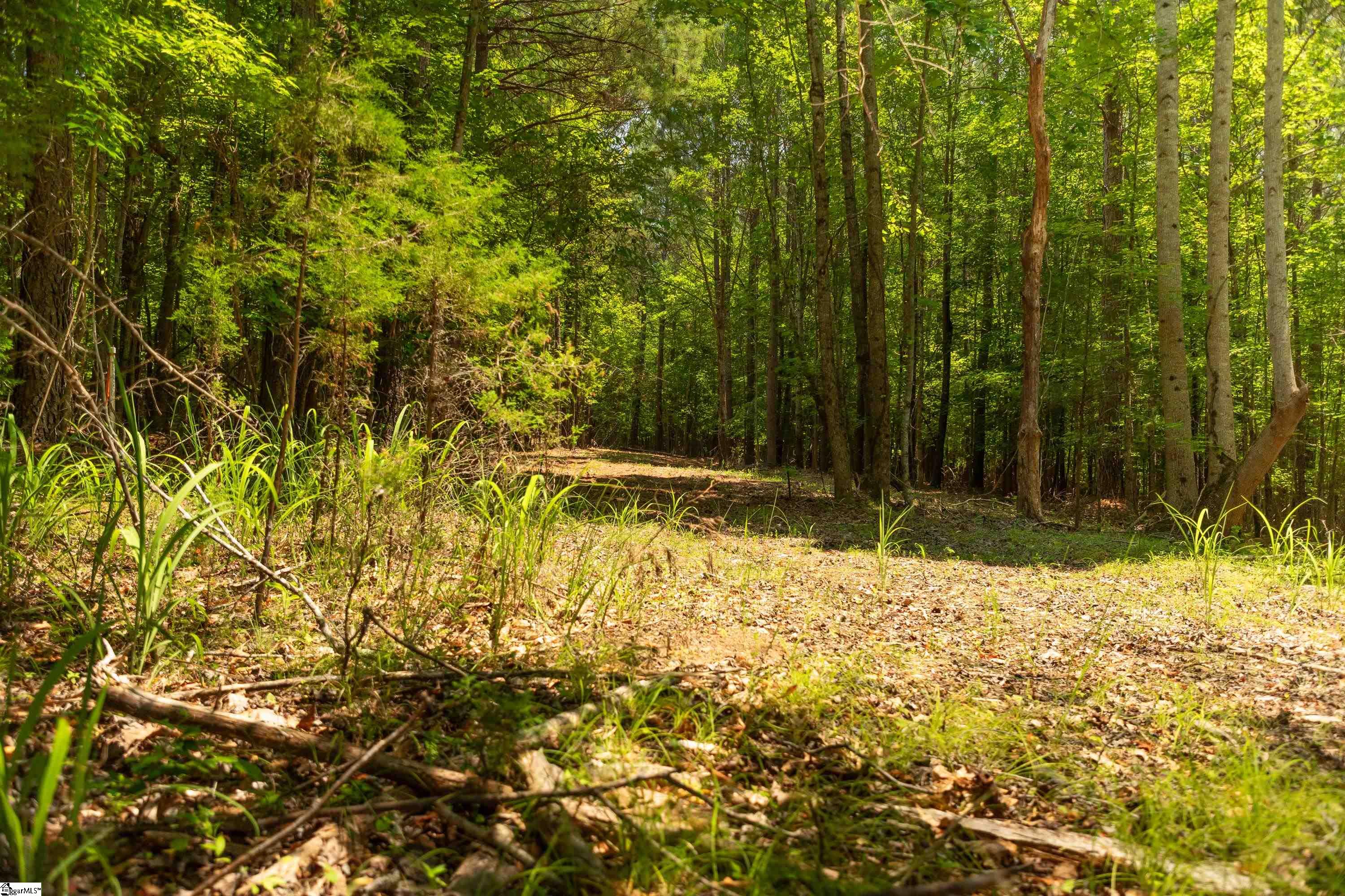 17 Goldmine Road Spartanburg, SC 29302 - Photo 22 of 29 Gallery Image 22