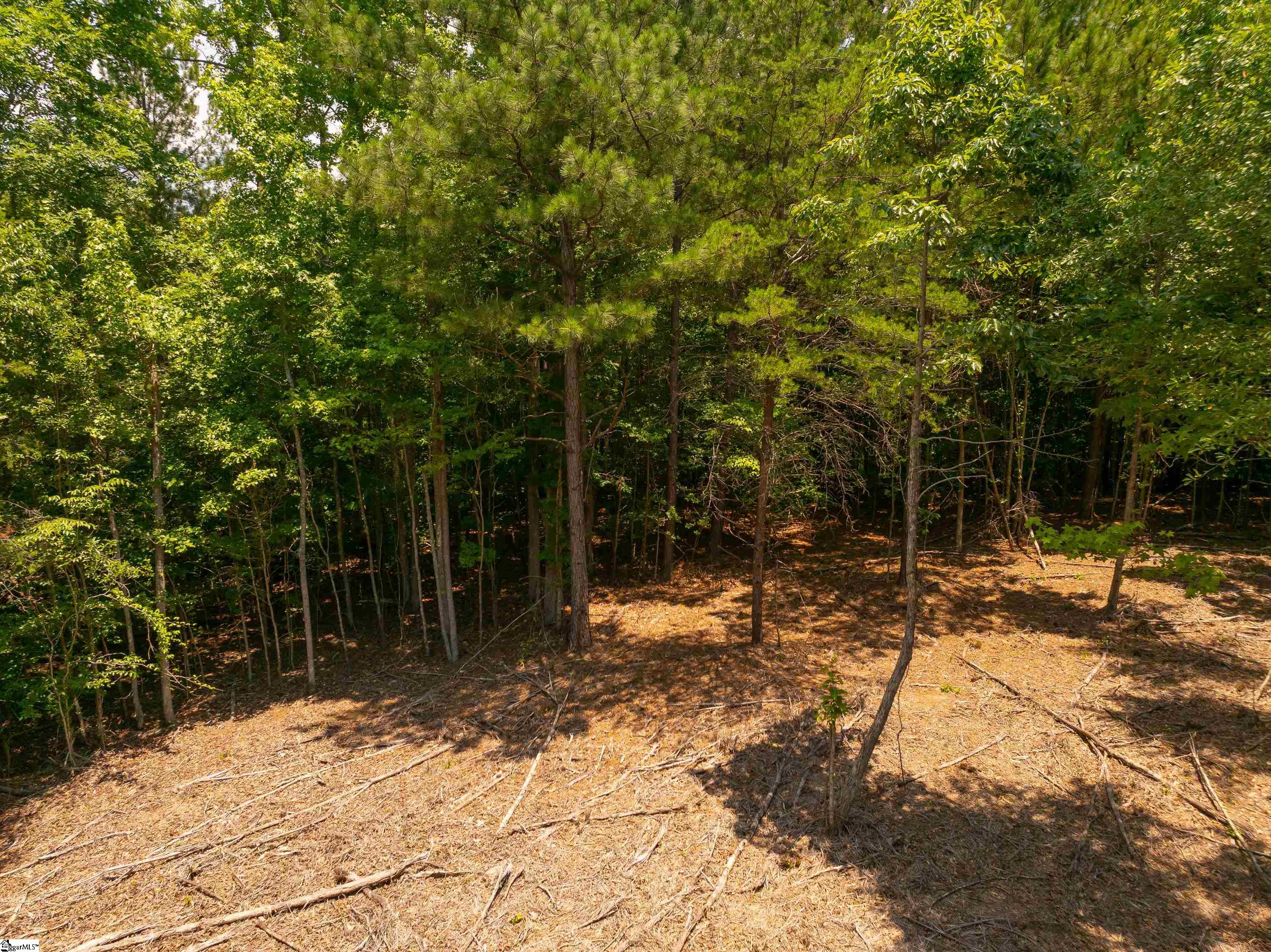 17 Goldmine Road Spartanburg, SC 29302 - Photo 28 of 29 Gallery Image 28