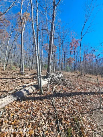 $140,000 | Evelyn Pvt Drive, Huntsville, TN 37756