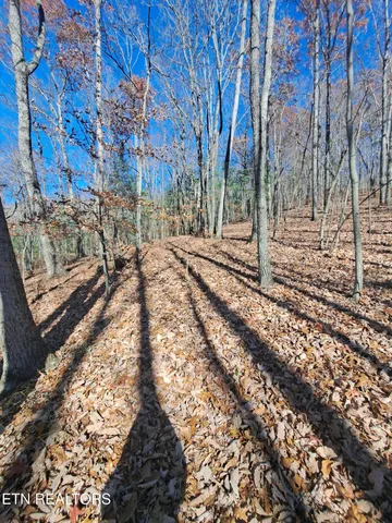 $140,000 | Evelyn Pvt Drive, Huntsville, TN 37756