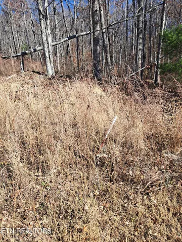 $140,000 | Evelyn Pvt Drive, Huntsville, TN 37756