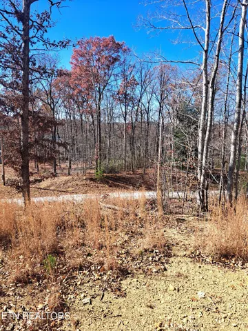 $140,000 | Evelyn Pvt Drive, Huntsville, TN 37756