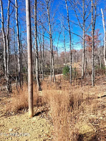 $140,000 | Evelyn Pvt Drive, Huntsville, TN 37756