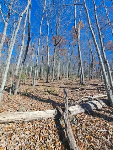 $140,000 | Evelyn Pvt Drive, Huntsville, TN 37756