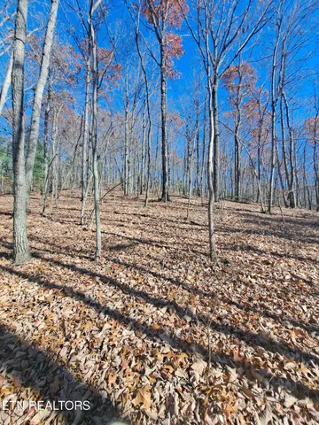 $140,000 | Evelyn Pvt Drive, Huntsville, TN 37756