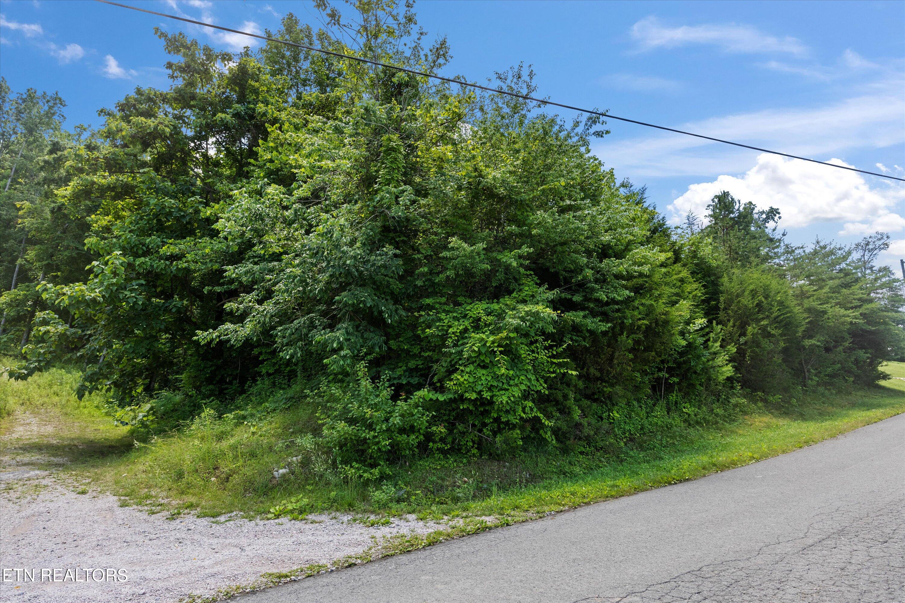 Hickory Pointe Lane Maynardville, TN 37807 - Photo 15 of 20 14-RS9_0002_1