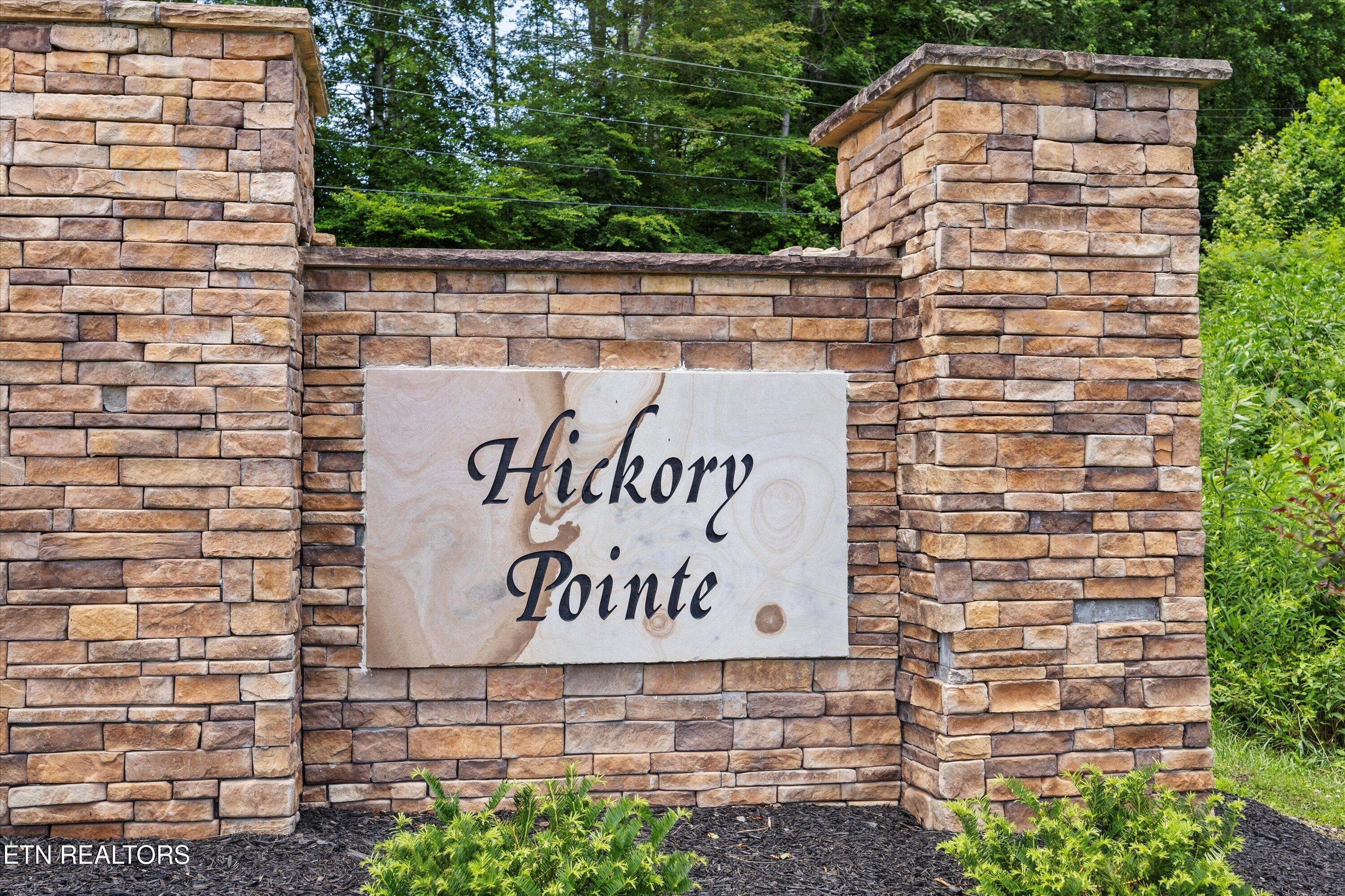 Hickory Pointe Lane Maynardville, TN 37807 - Photo 20 of 20 19-RS9_0027
