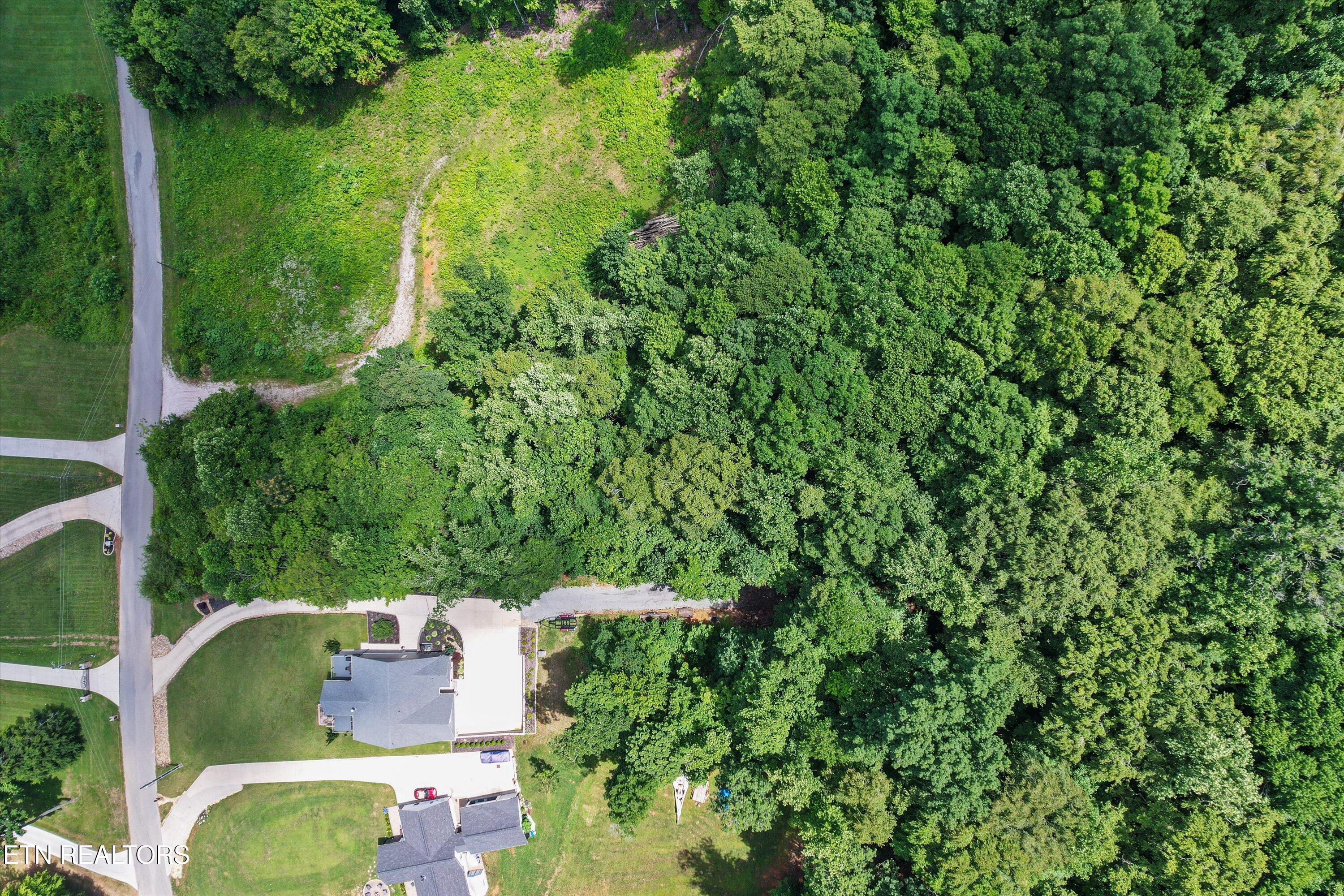 Hickory Pointe Lane Maynardville, TN 37807 - Photo 5 of 20 05-DJI_0018_1