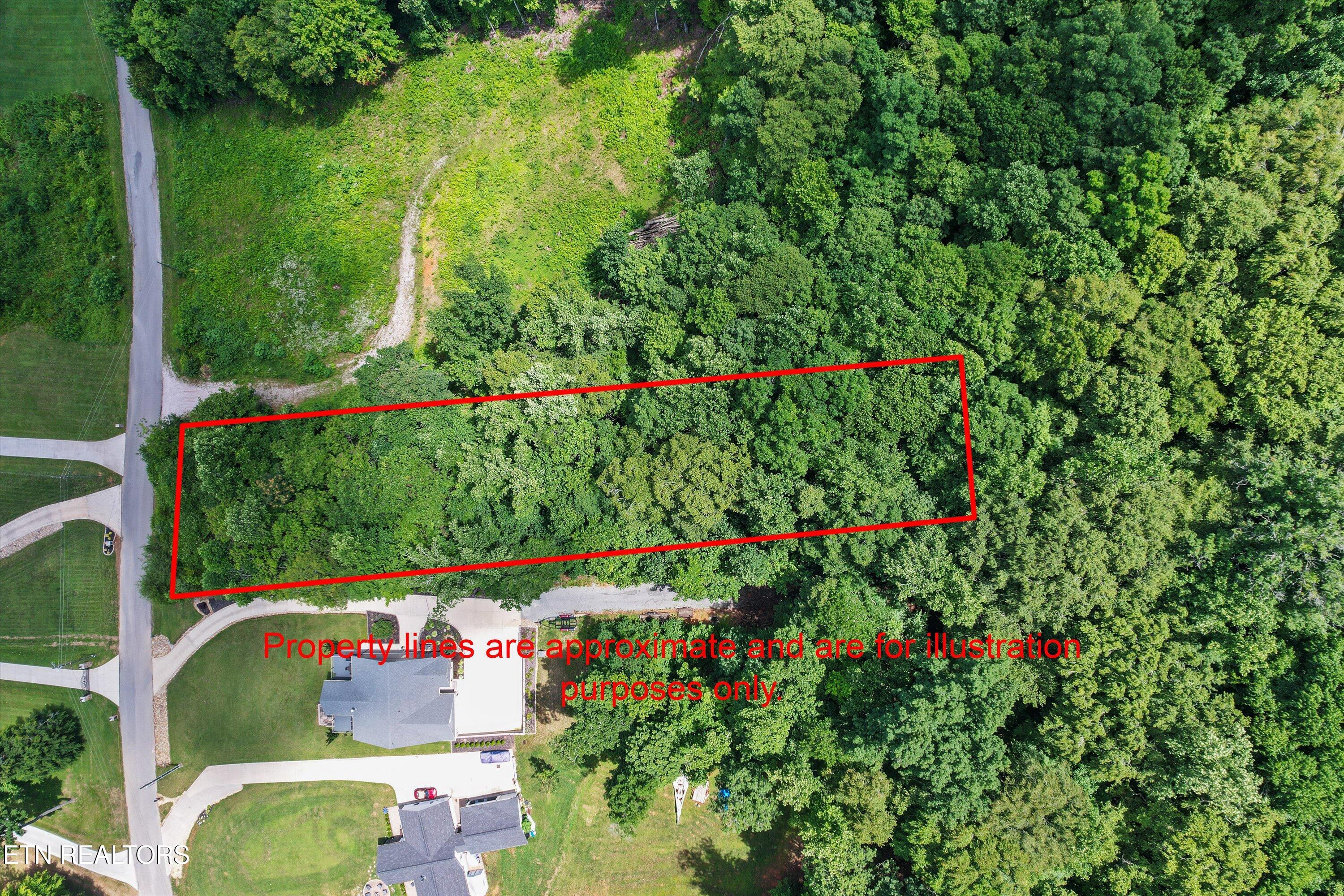 Hickory Pointe Lane Maynardville, TN 37807 - Photo 6 of 20 06-DJI_0018_1M