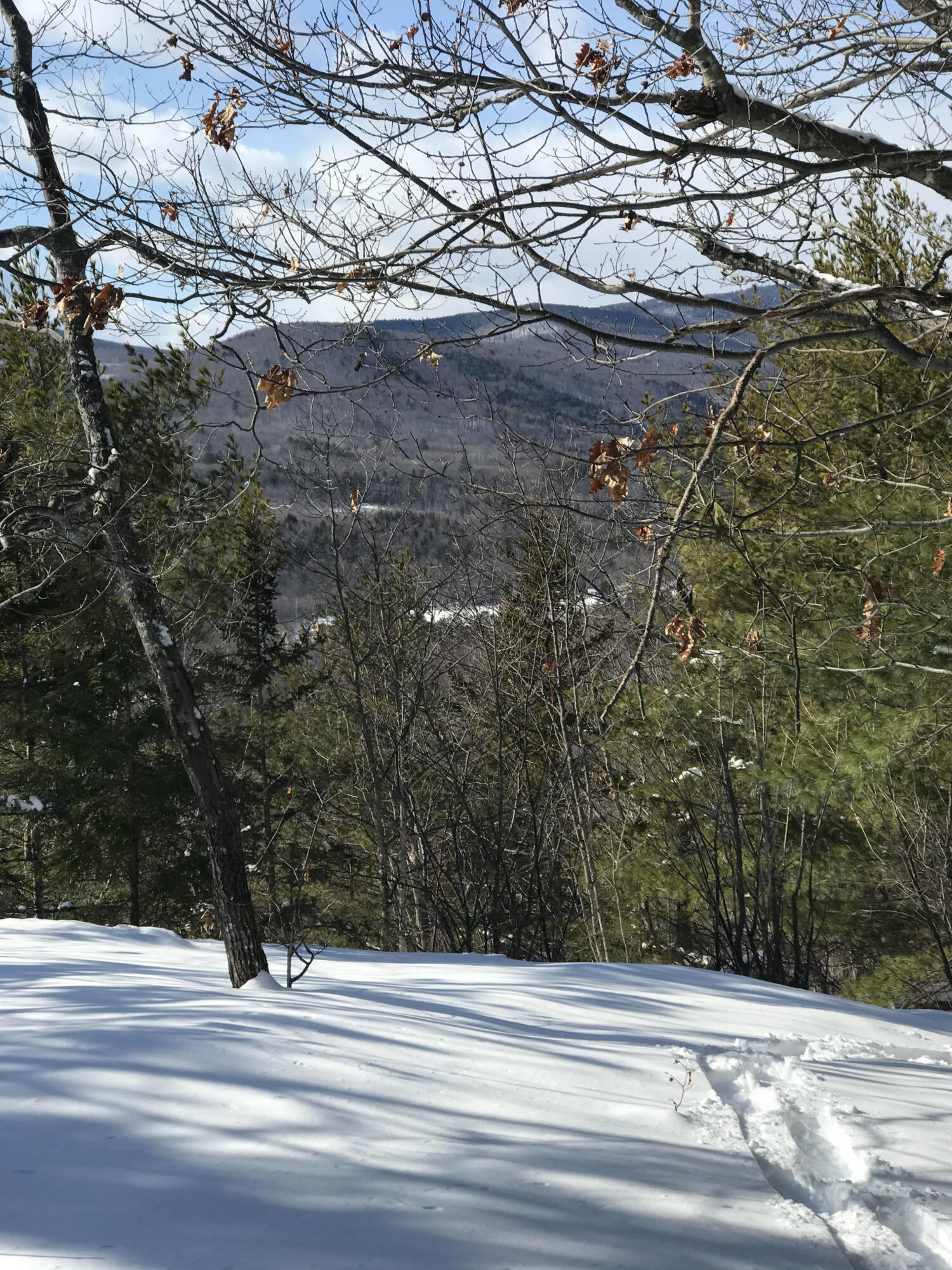 Lot 41 Redding Road Sumner, ME 04292 - Photo 8 of 8 snowy afternoon