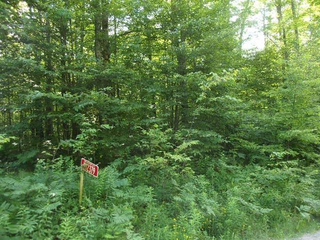 On Red Rock Road Athelstane, WI 54104 - Photo 3 of 7 Gallery Image 3