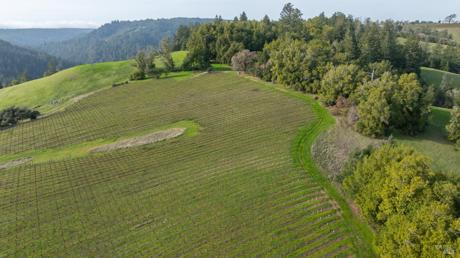 38555 Hauser Bridge Road Cazadero, CA 95421 - Photo 43 of 93