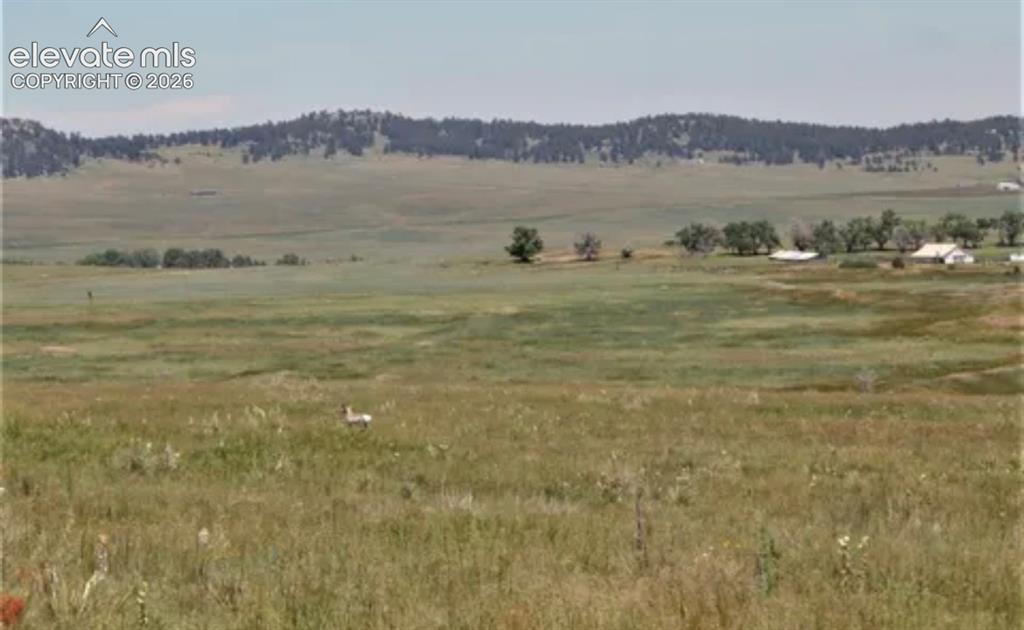 4 McClelland Road Peyton, CO 80831 - Photo 5 of 14 Gallery Image 5