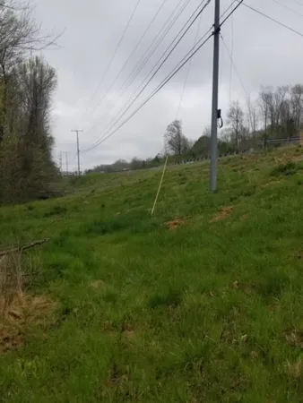 a view of a field with a tree