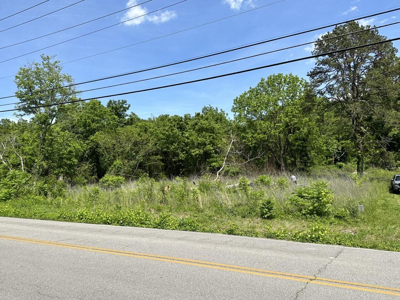 7212 Garfield Road Harrison, TN 37341 - Photo 1 of 14 Garfield lot 12 road frontage