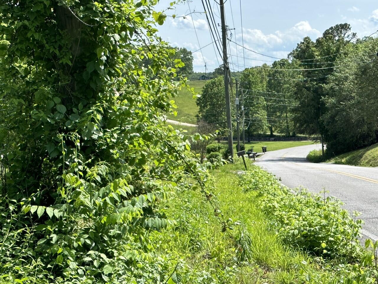 7212 Garfield Road Harrison, TN 37341 - Photo 4 of 14 Garfield lot 2 - road frontage