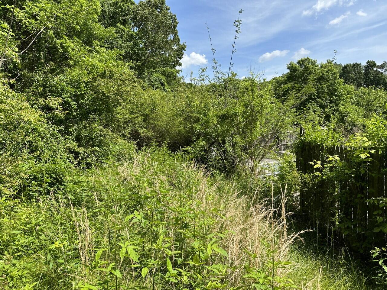 7212 Garfield Road Harrison, TN 37341 - Photo 8 of 14 Garfield lot 6