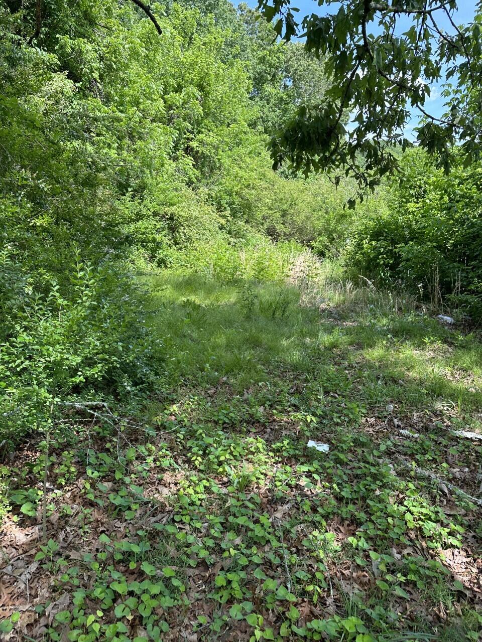 7212 Garfield Road Harrison, TN 37341 - Photo 10 of 14 Garfield lot 14