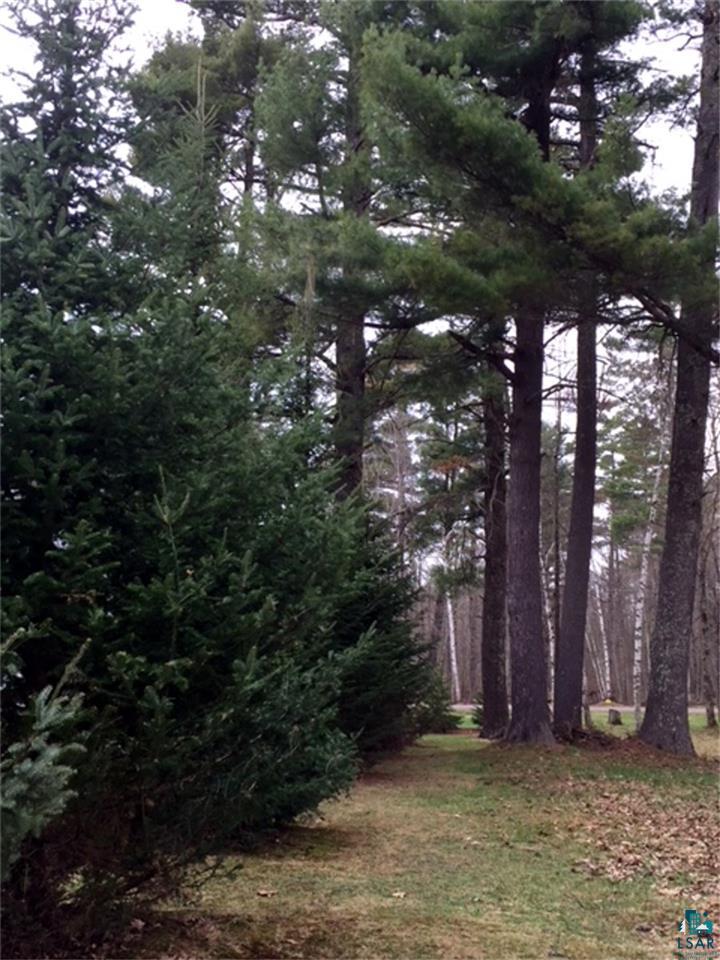 43690 Trail Inn Road Cable, WI 54821 - Photo 17 of 21 Gallery Image 17