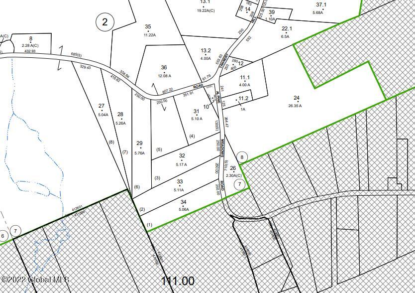 160 Alpine Meadows Road Greenfield, NY 12859 - Photo 1 of 5 Capture