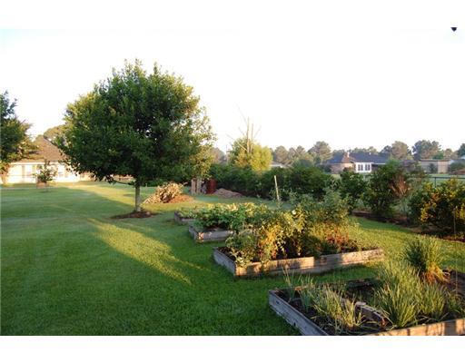 800 Robertson Road Pollock, LA 71467 - Photo 6 of 14 Gallery Image 6