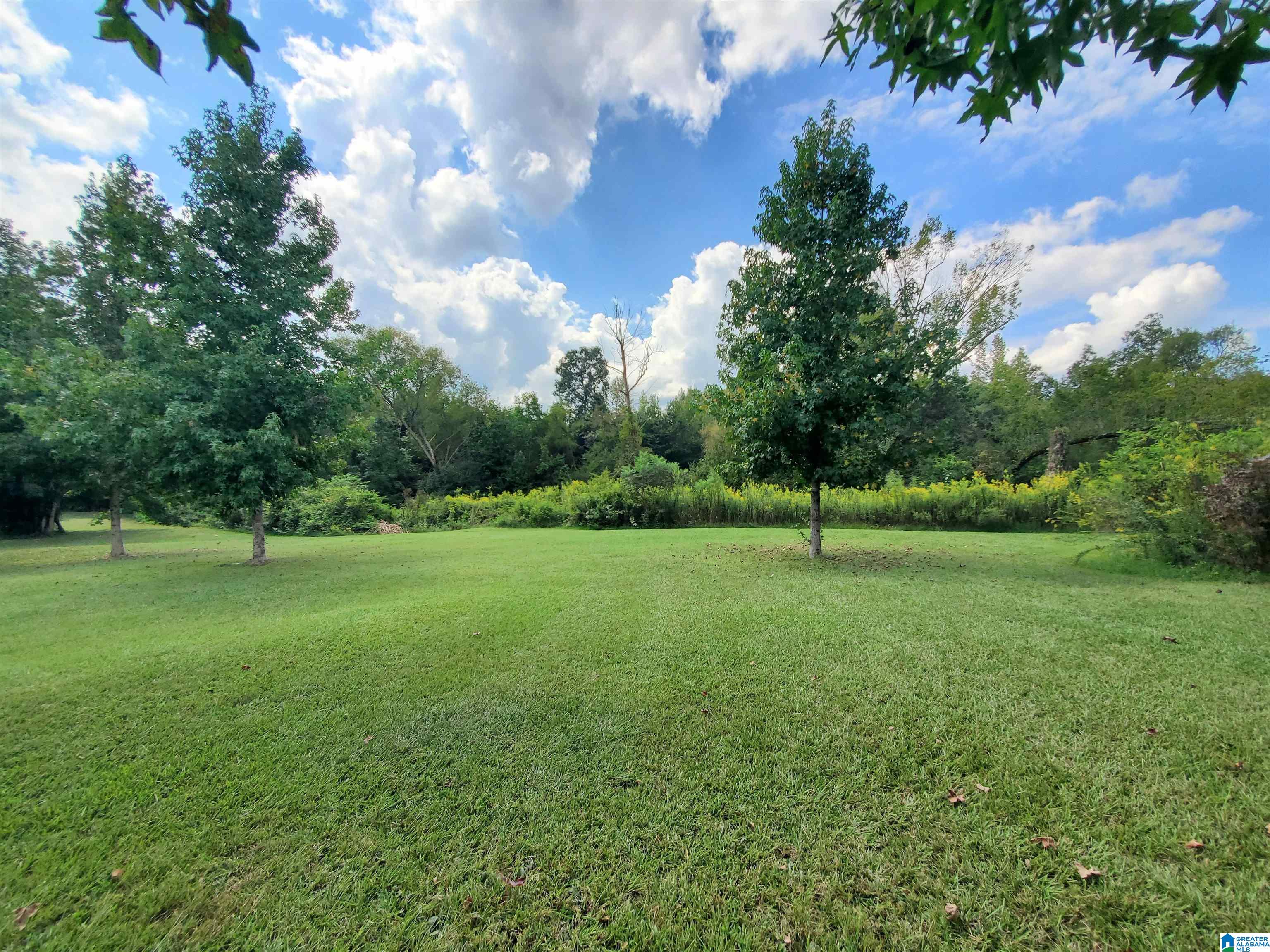 622 Rocky Hollow Road Jacksonville, AL 36265 - Photo 32 of 40